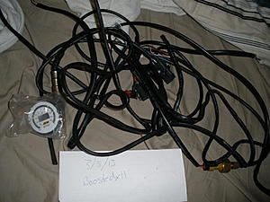 Kelford 272, Aem Boost, and Aem Wideband-p3050003.jpg