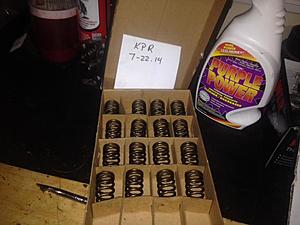 FS Eibach beehive valve springs-photo_2-1-.jpg