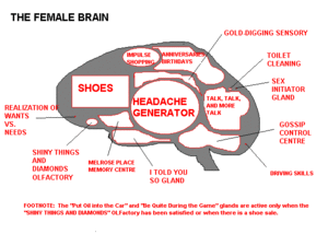 Raleigh meet Sept. 20th?-z_femalebrain.gif