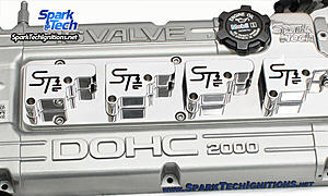 *SparkTech* Billet Coil Protectors-sparktechdsmpolished2.jpg