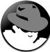 Greyhat.007's Avatar